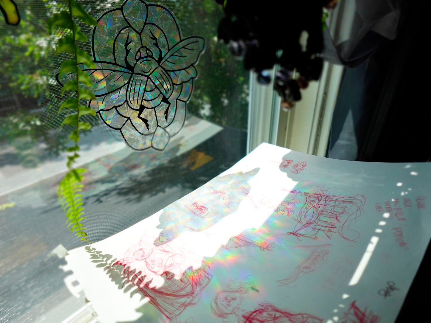 Party Raccoon Rainbow Window Cling