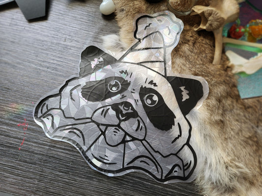 Party Raccoon Rainbow Window Cling