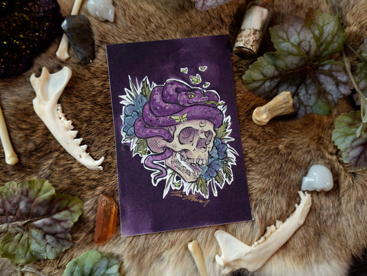 Snake Skull Fine Art Print