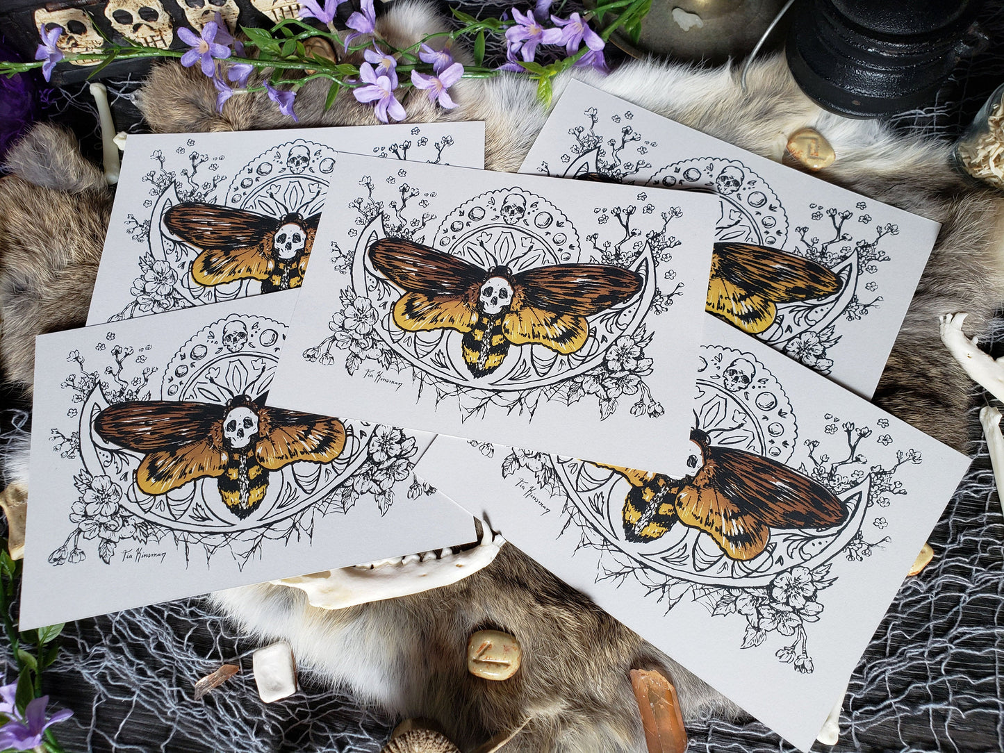 Deaths Head Moth Goth Greeting Cards
