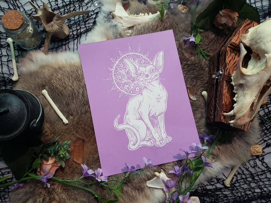 Limited Purple Familiar Sphynx Hand Screen Printed Fine Art Print