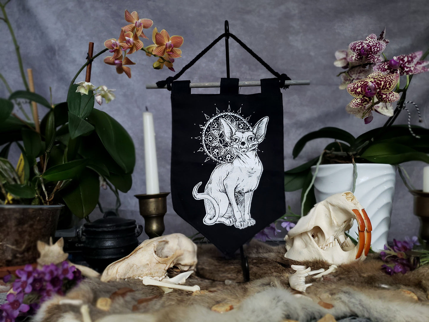 Familiar (Sphynx Cat) Bitty Banner