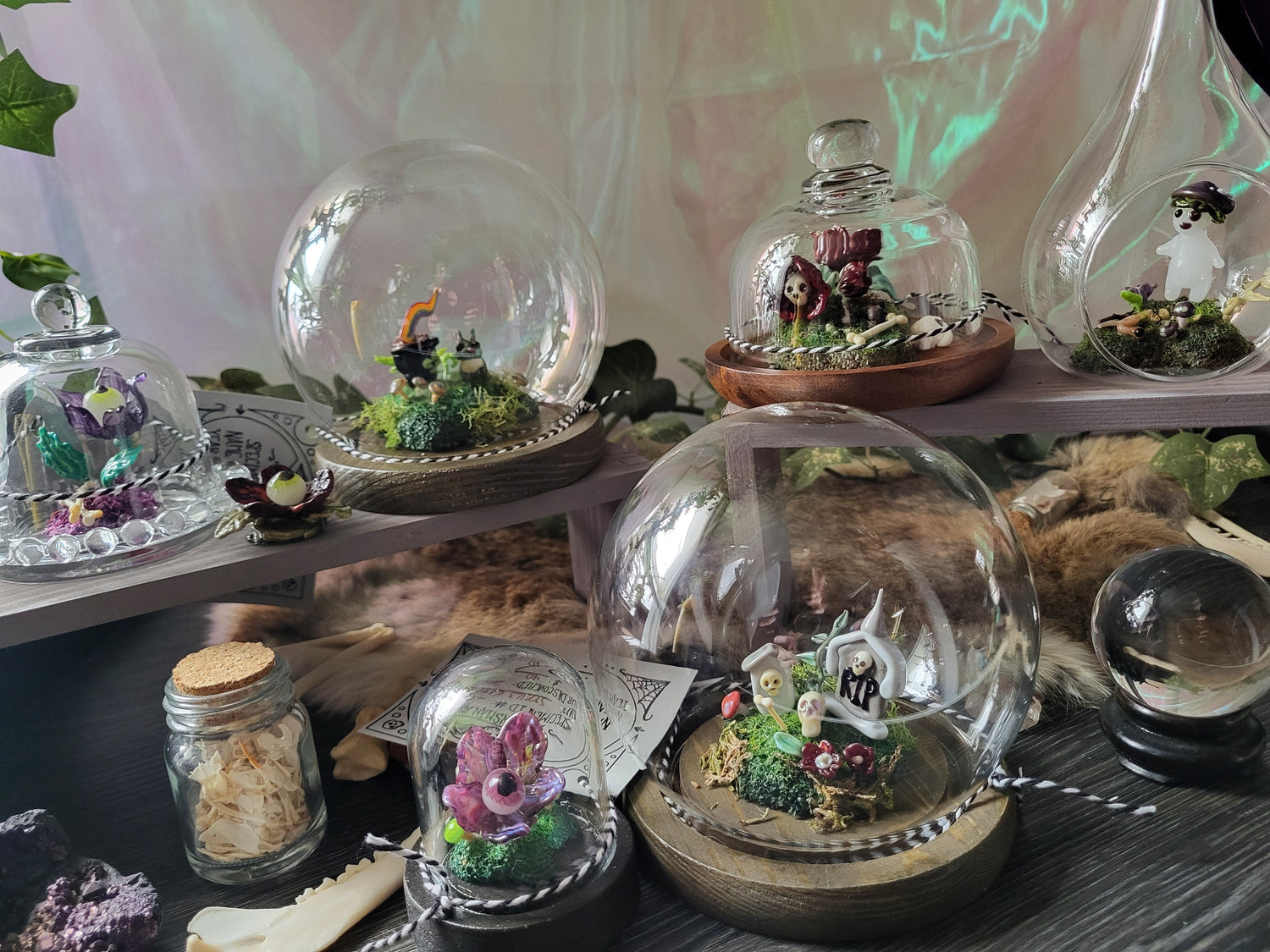Glass Domes and Specimens