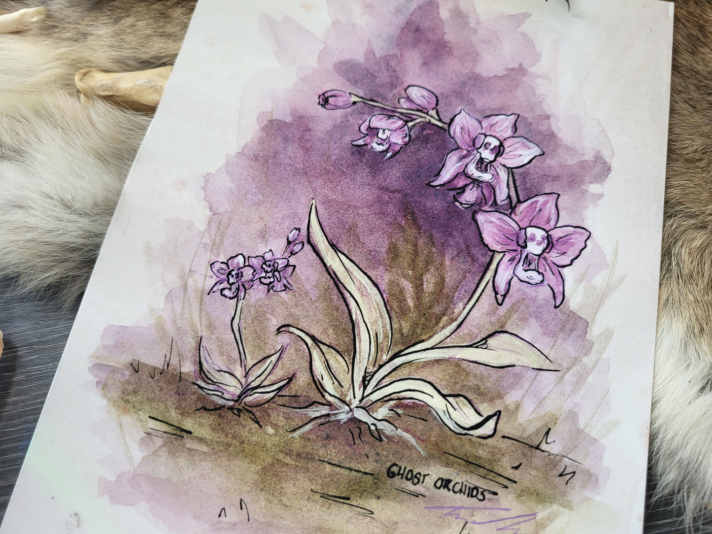 Ghost Orchids Fine Art Print