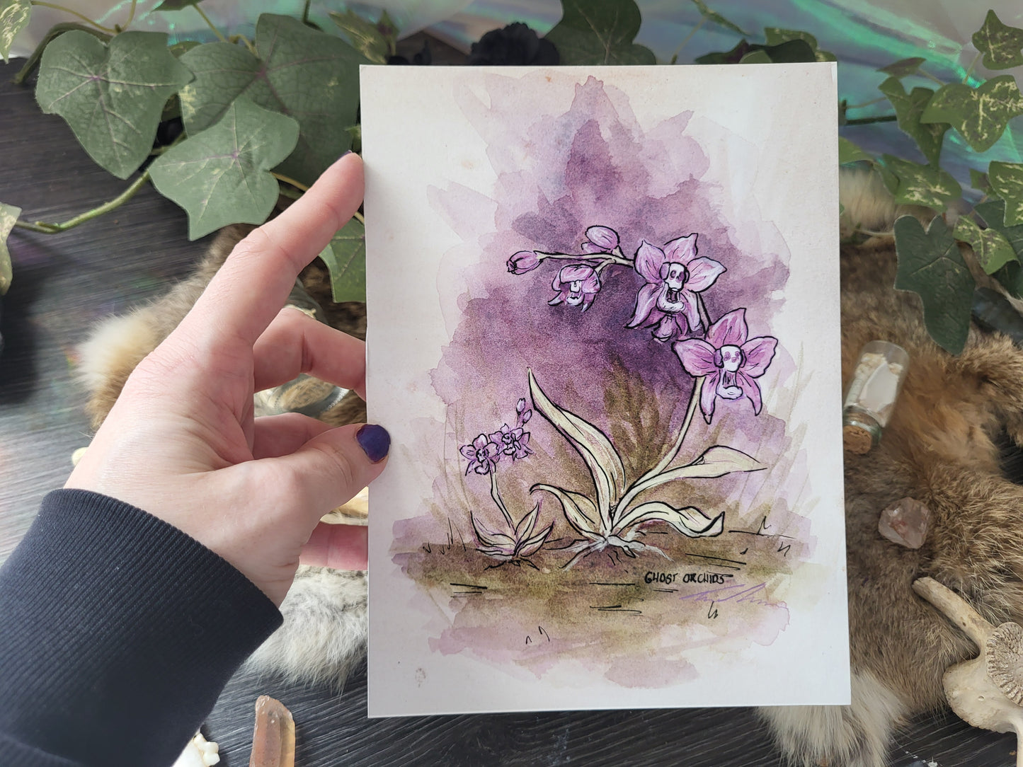 Ghost Orchids Fine Art Print