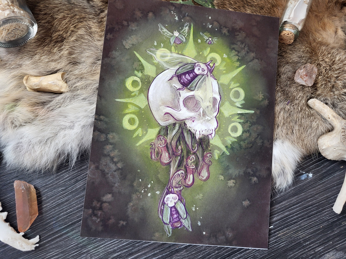 Scavengers Fine Art Print