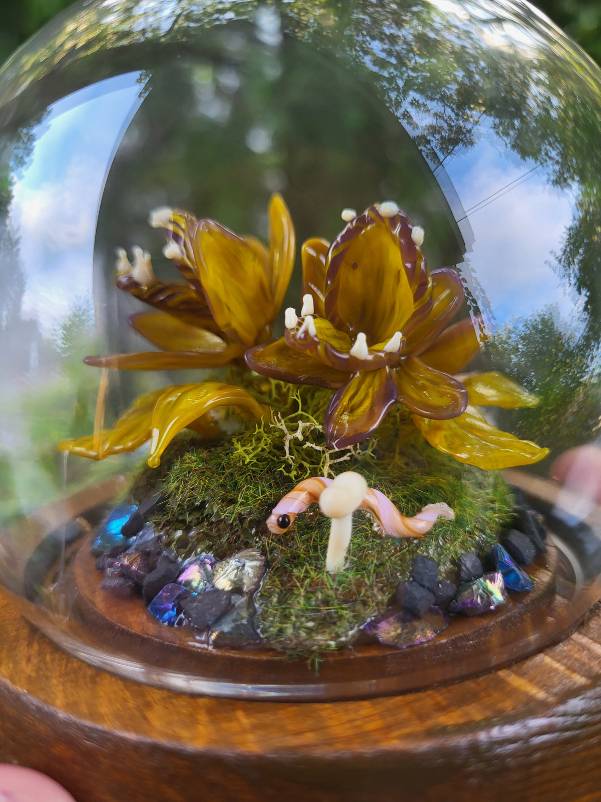 Francine Carnivorous Plant Dome