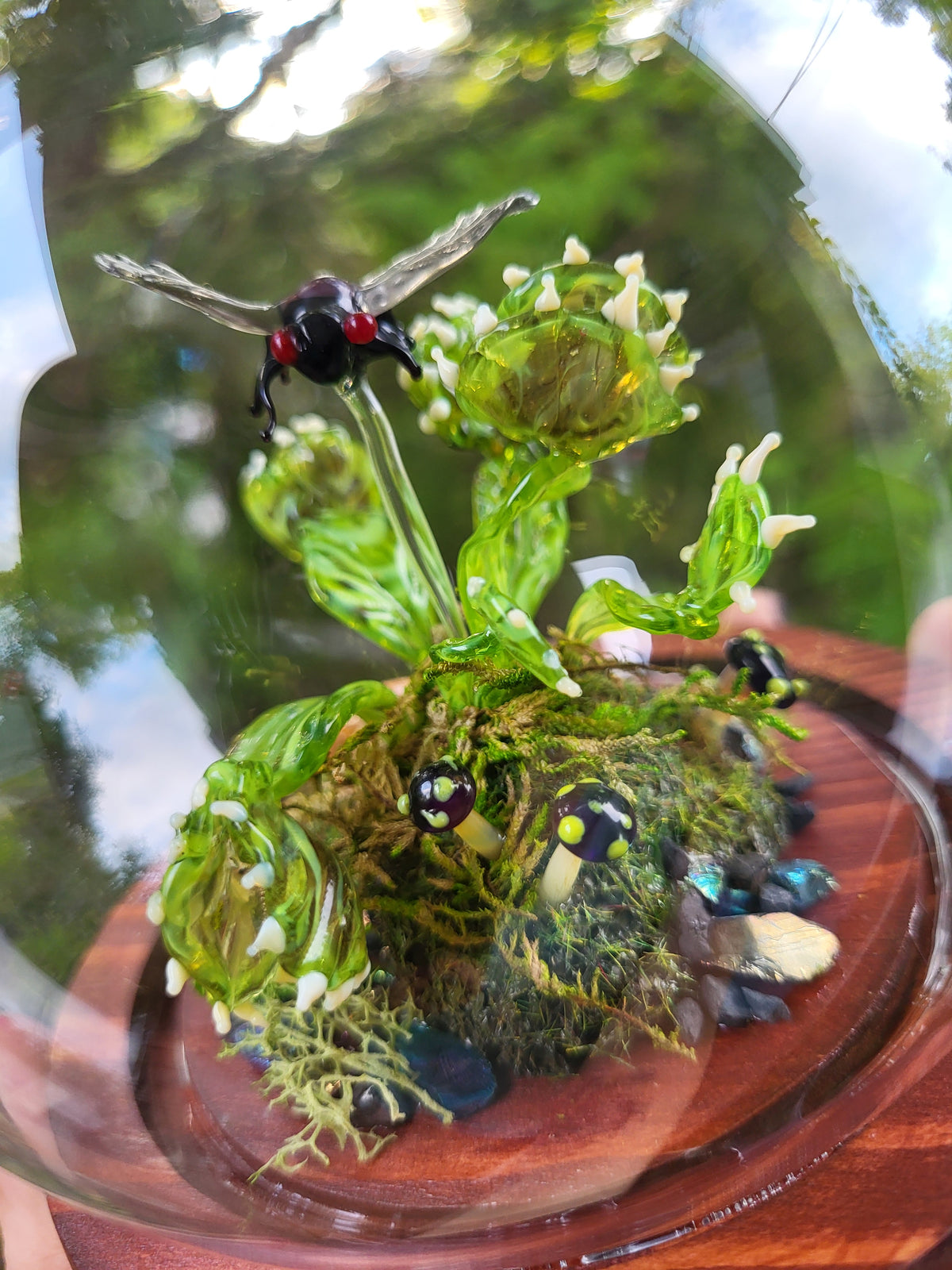 Green Ghost Flytrap Dome
