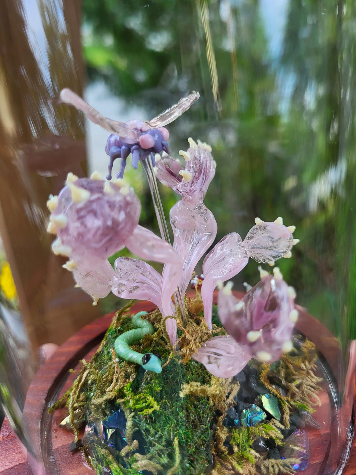Pink Mutant Flytrap Dome