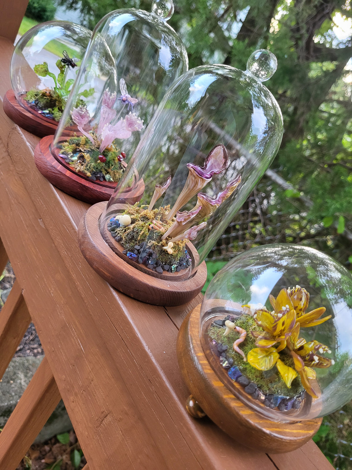 Francine Carnivorous Plant Dome