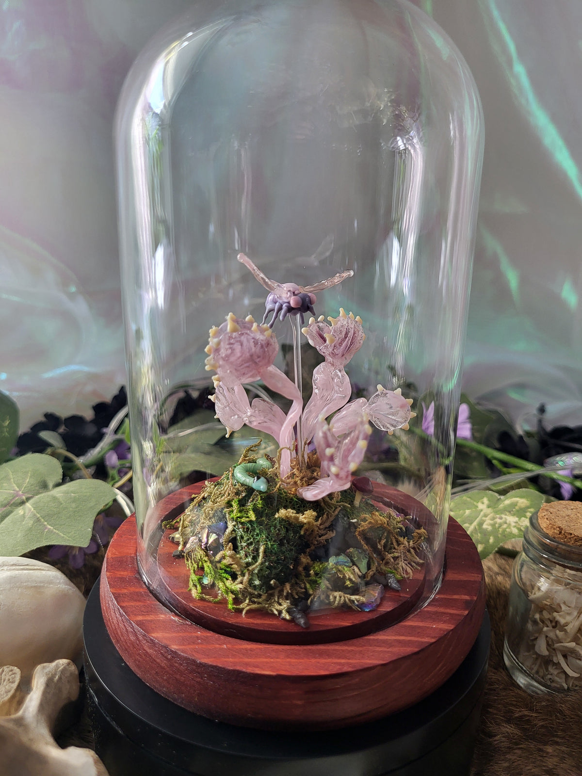 Pink Mutant Flytrap Dome