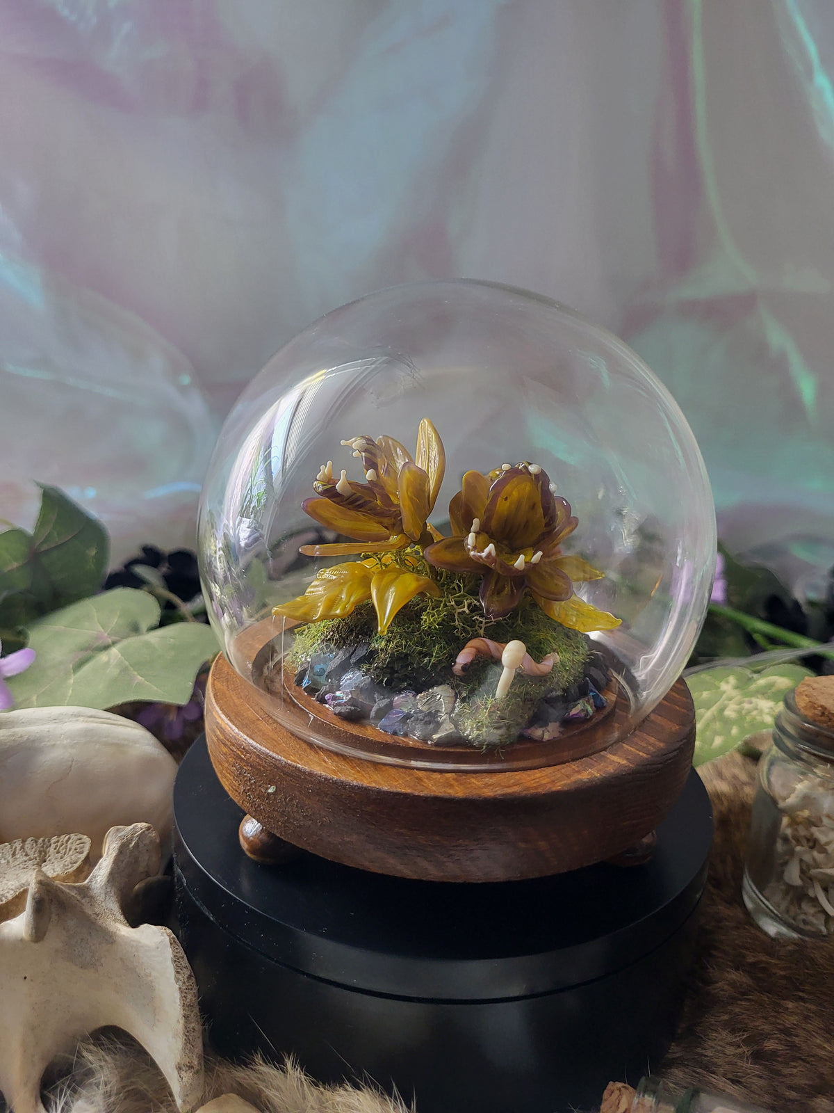 Francine Carnivorous Plant Dome