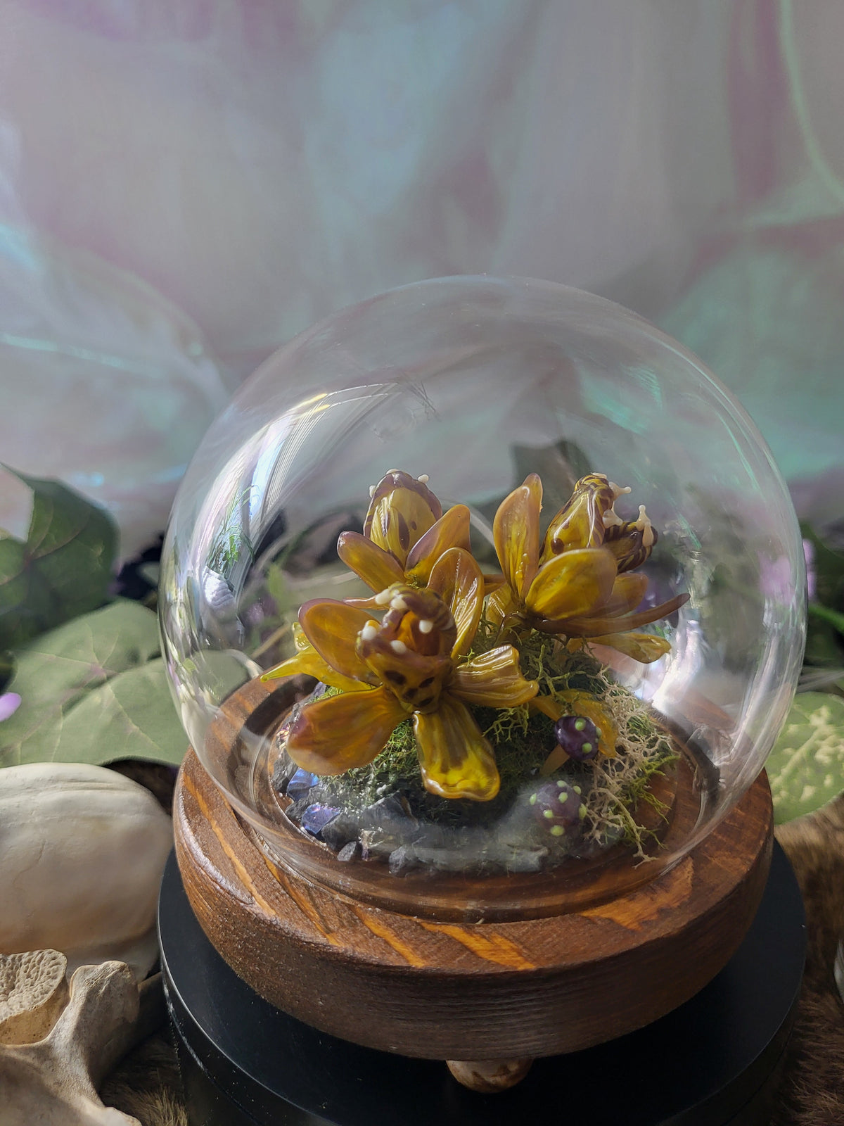 Francine Carnivorous Plant Dome