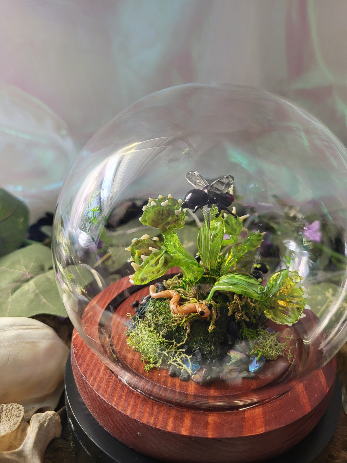 Green Ghost Flytrap Dome
