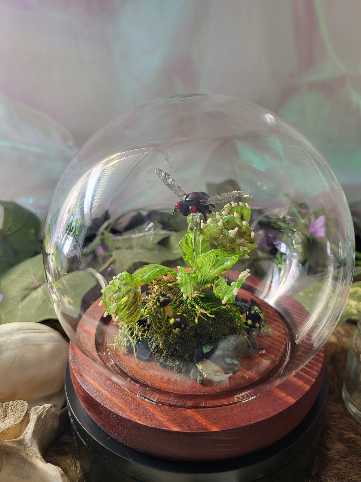 Green Ghost Flytrap Dome