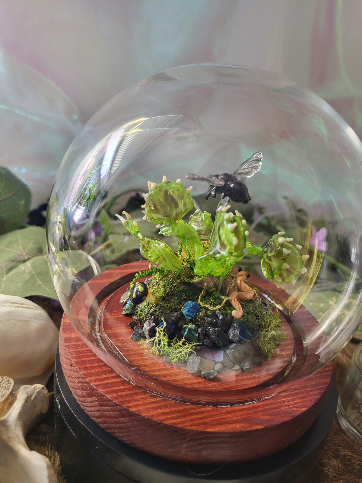 Green Ghost Flytrap Dome