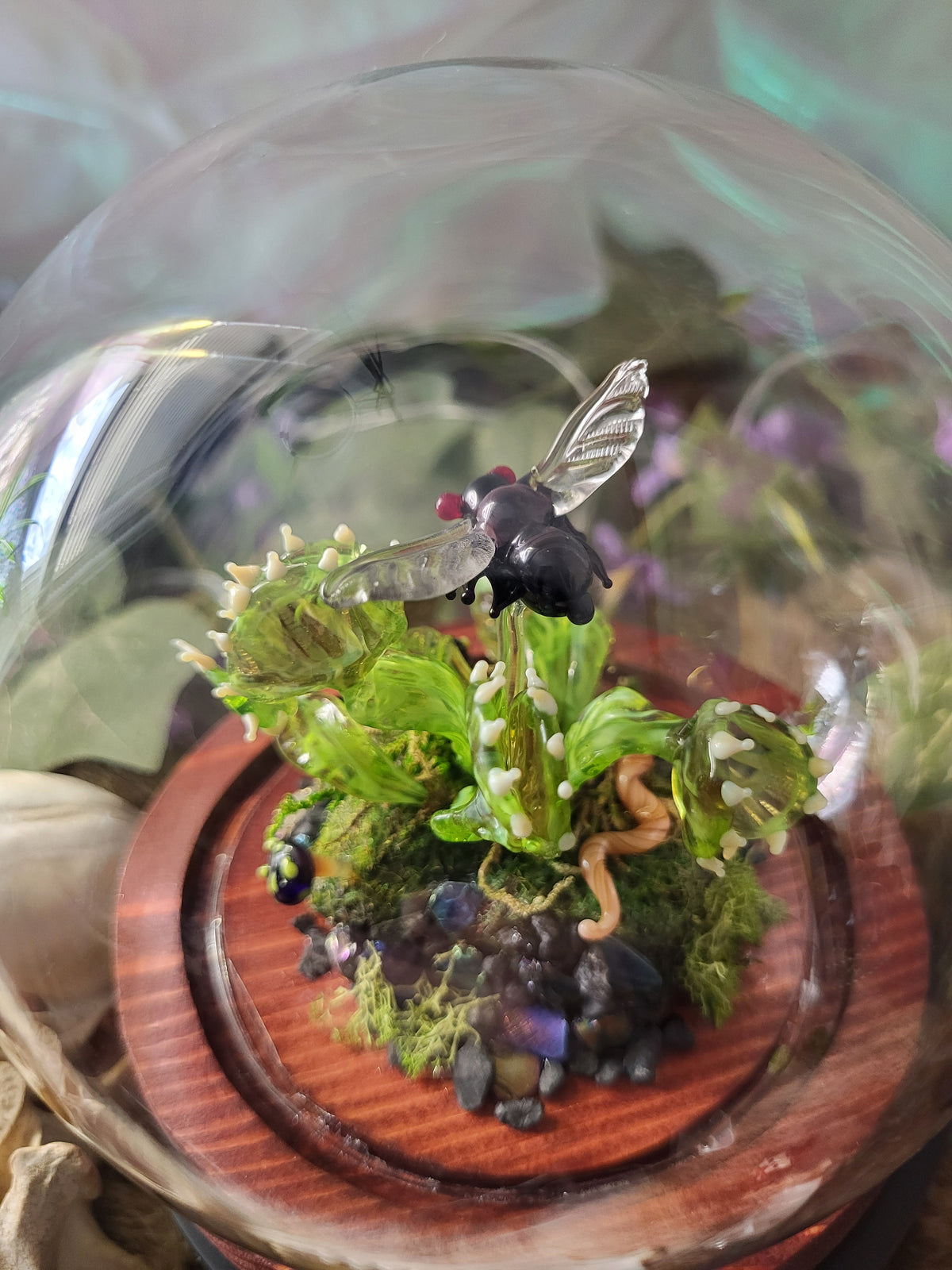 Green Ghost Flytrap Dome