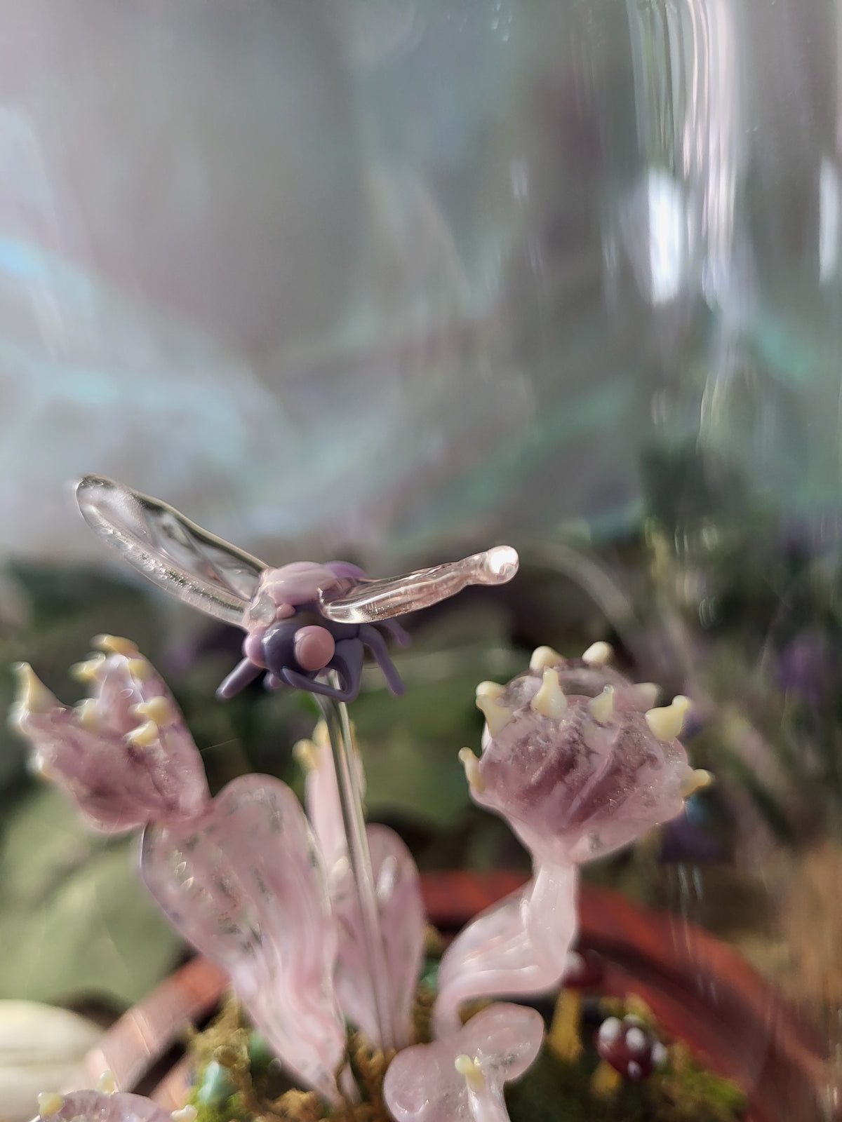 Pink Mutant Flytrap Dome