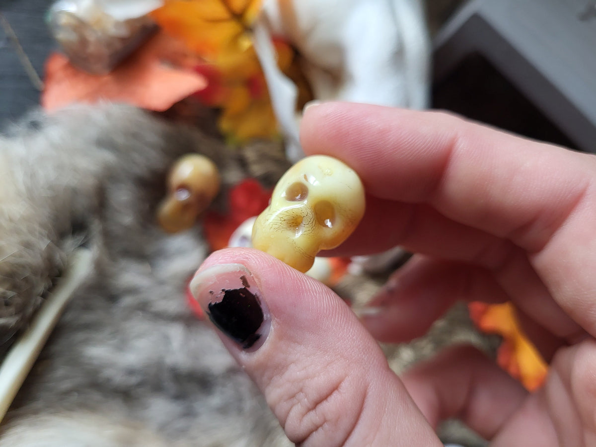 Tiny Glass Skulls