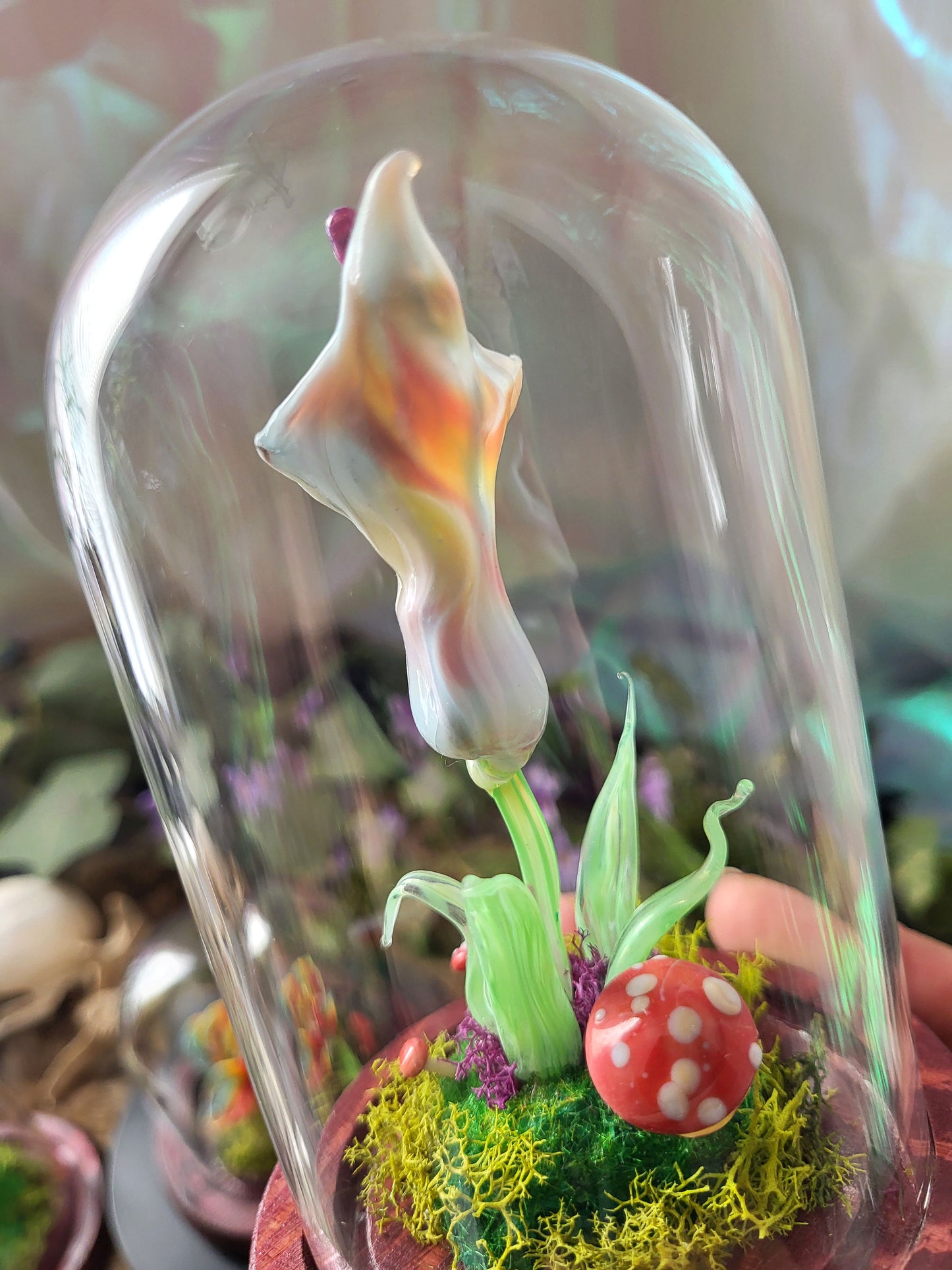 Limited Edition Pride Rainbow Flower Domes