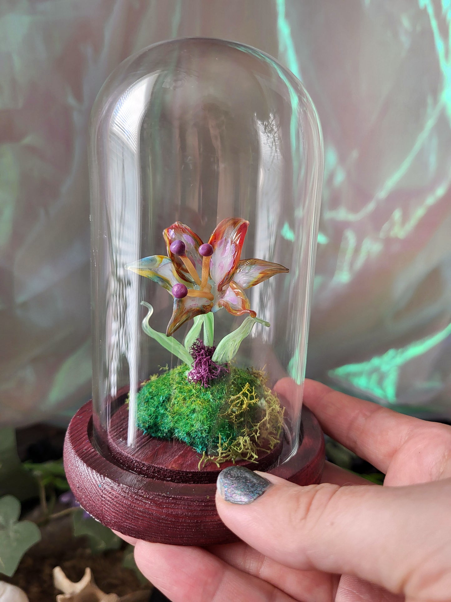 Limited Edition Pride Rainbow Flower Domes