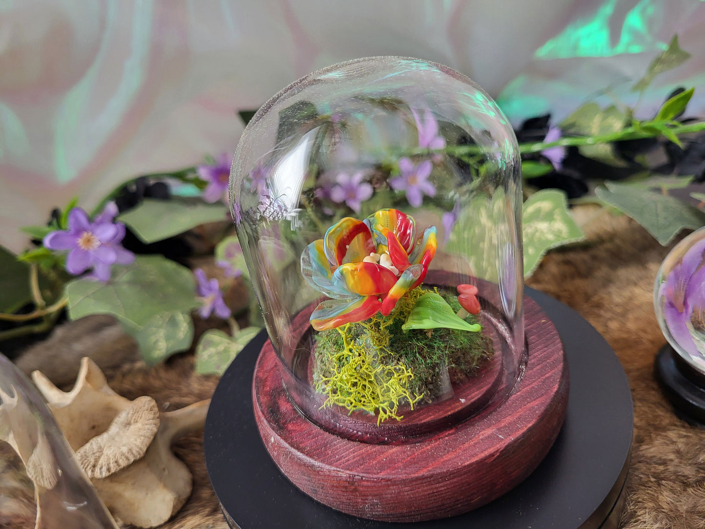 Limited Edition Pride Rainbow Flower Domes