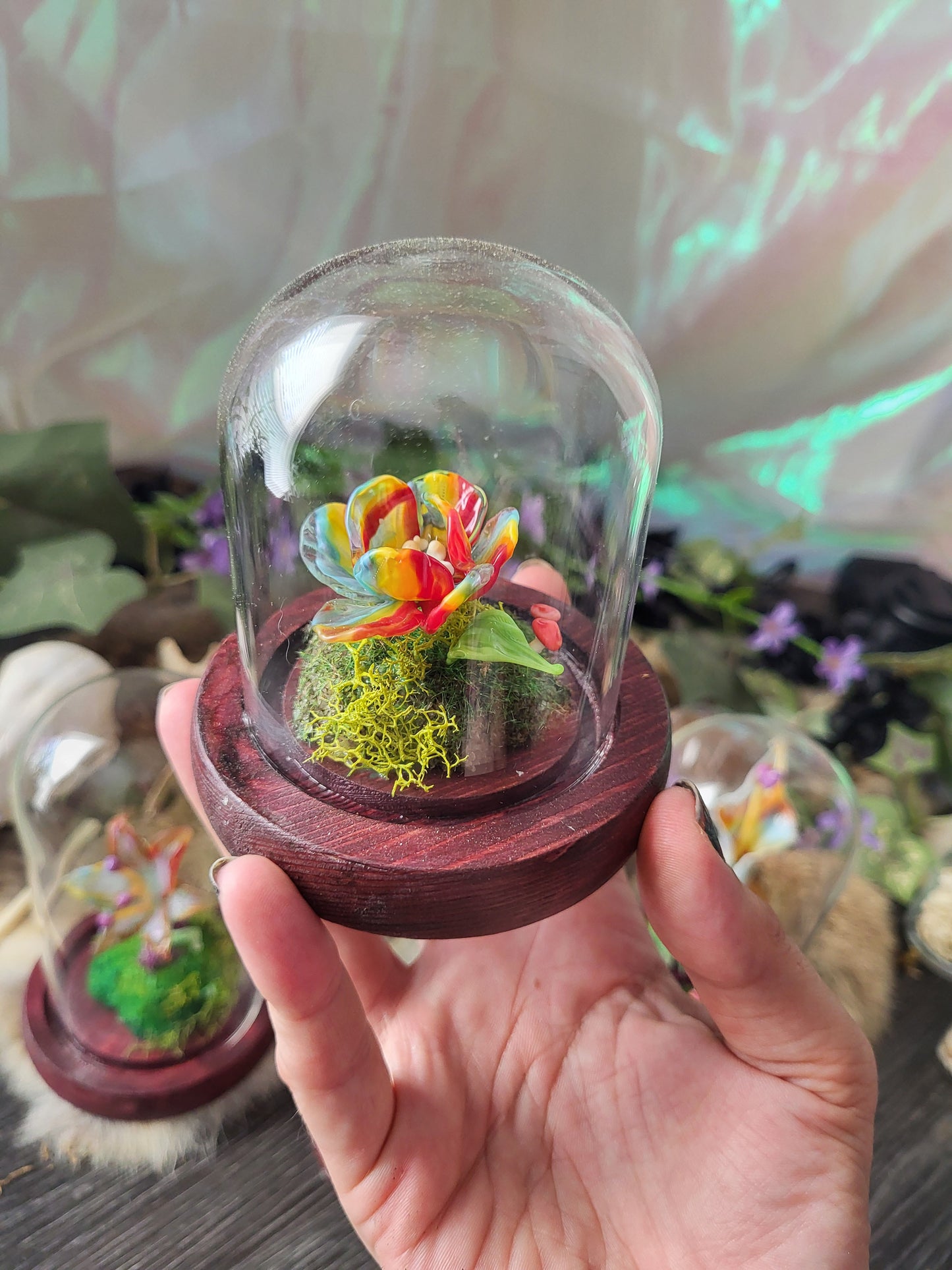 Limited Edition Pride Rainbow Flower Domes