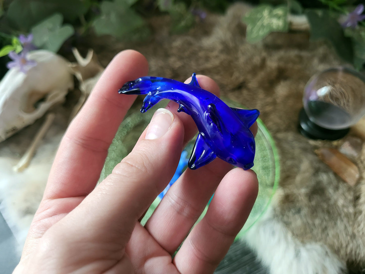 Glass Gummy Sharks