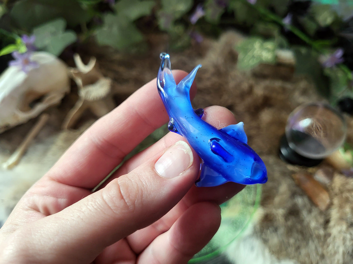 Glass Gummy Sharks