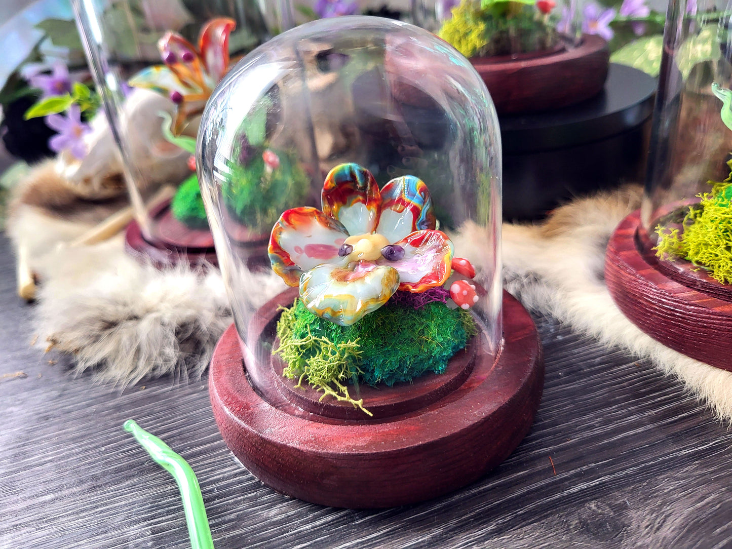 Limited Edition Pride Rainbow Flower Domes