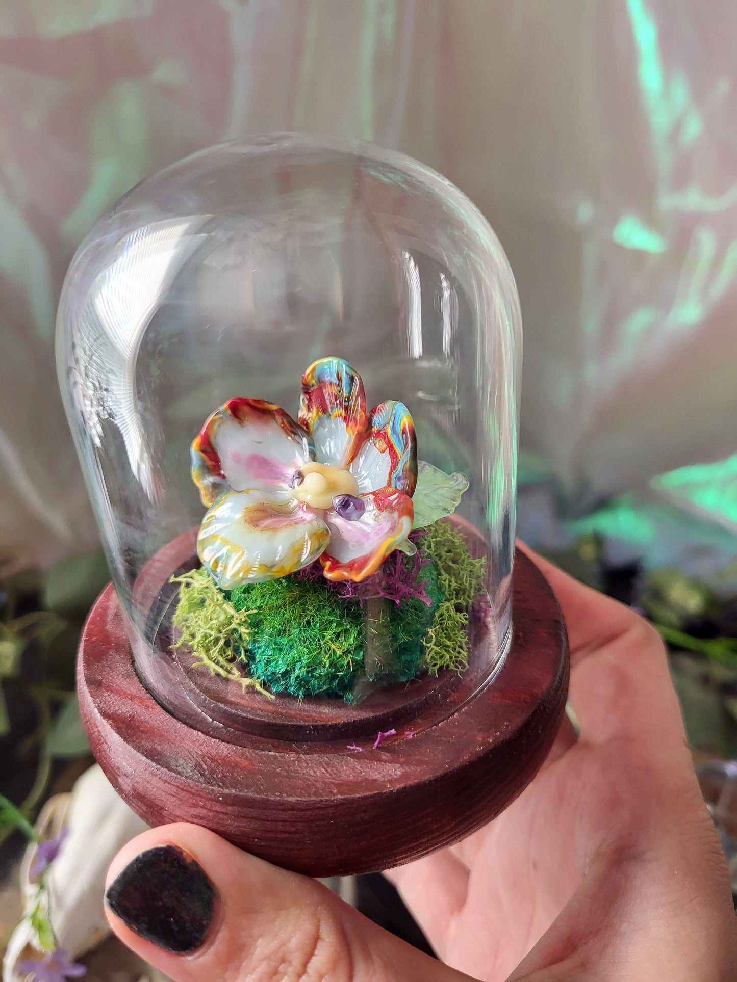 Limited Edition Pride Rainbow Flower Domes