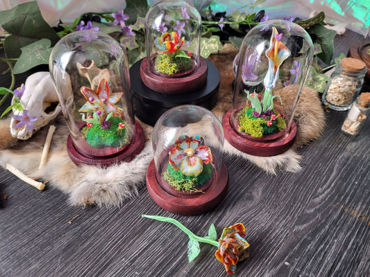 Limited Edition Pride Rainbow Flower Domes