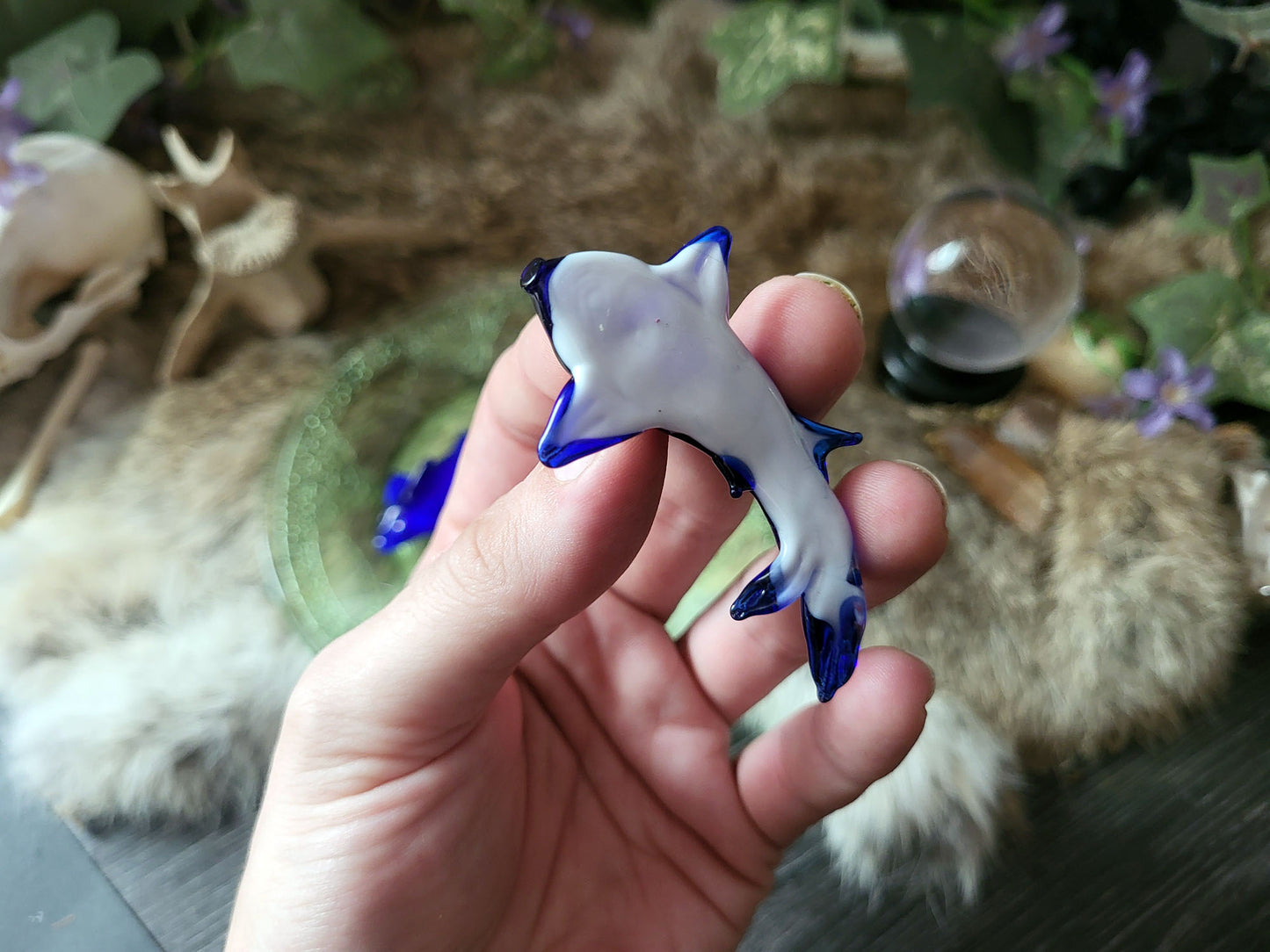 Glass Gummy Sharks