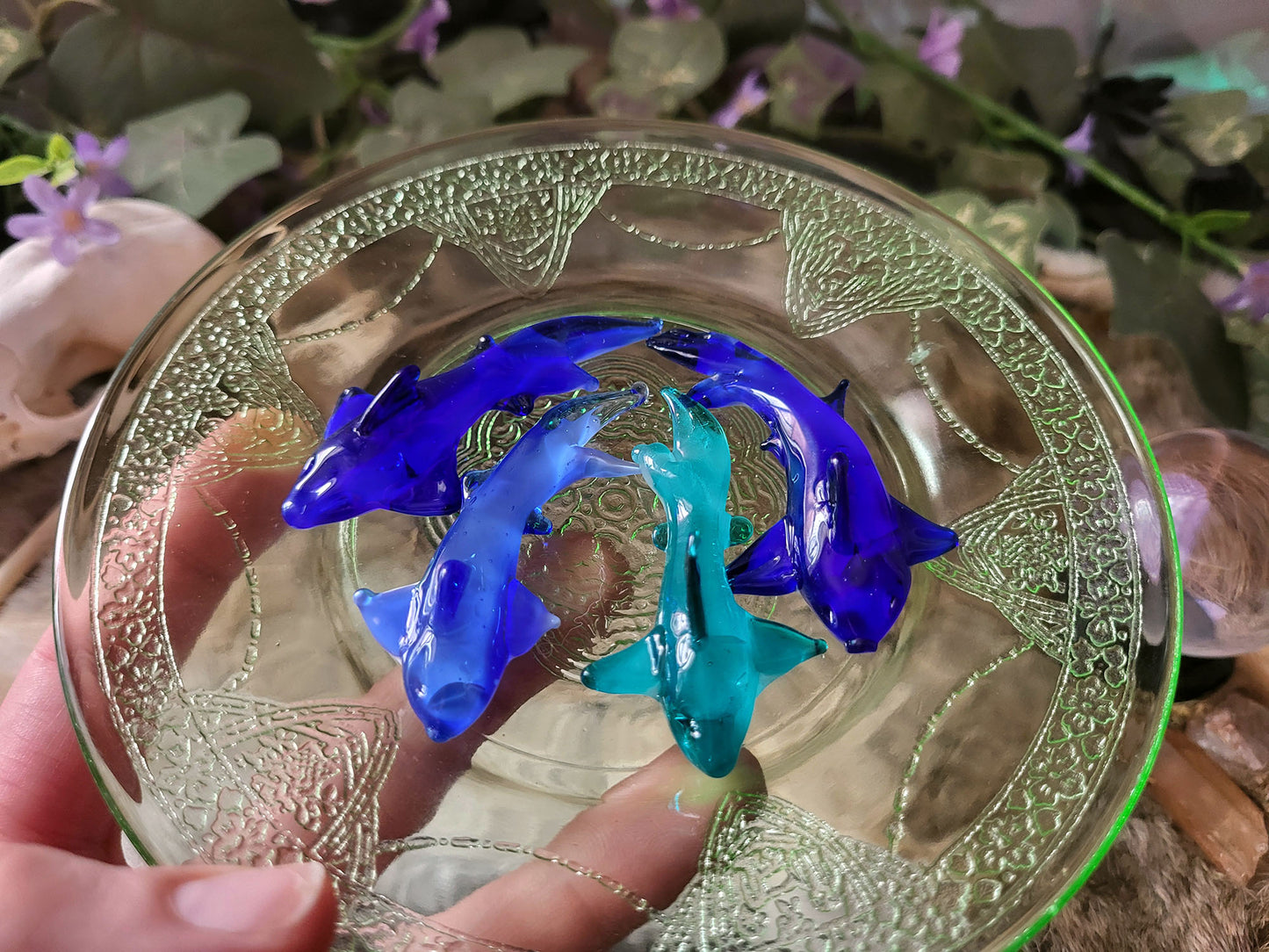Glass Gummy Sharks