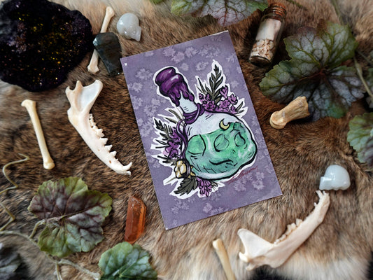 Skull Potion Fine Art Print