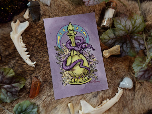 Snake Potion Fine Art Print