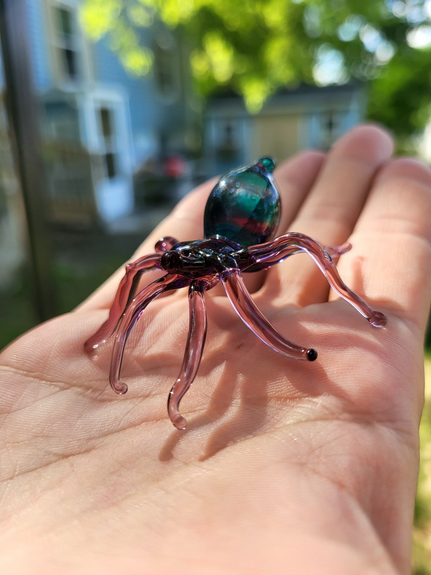 Glass Gummy Spider