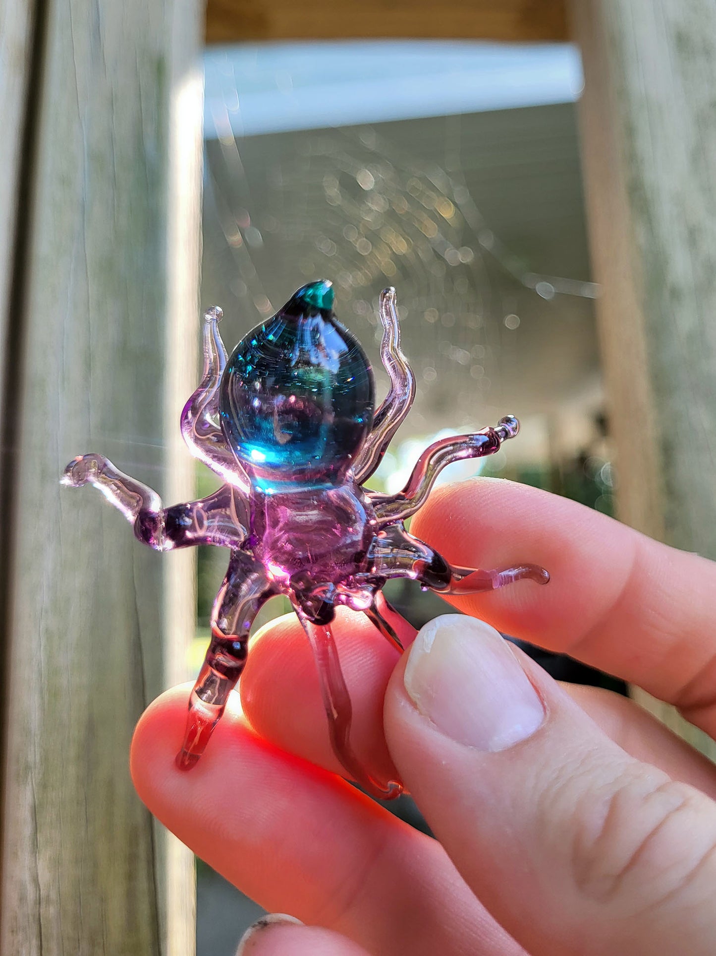 Glass Gummy Spider