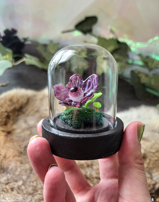 Sybil's Gaze Glass Specimen Dome
