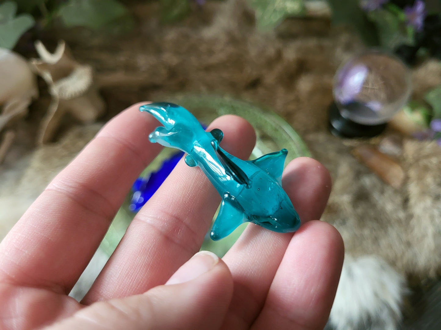 Glass Gummy Sharks