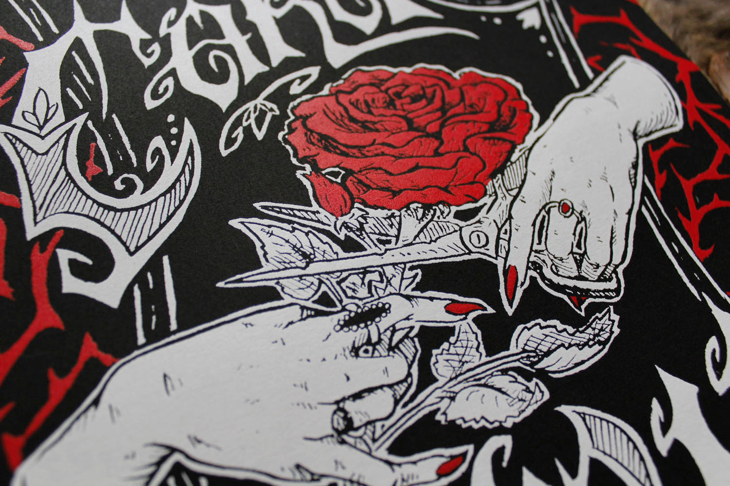 Cara Mia! Valentine (Large Print)