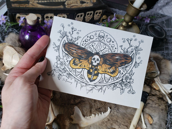 Deaths Head Moth Goth Greeting Cards