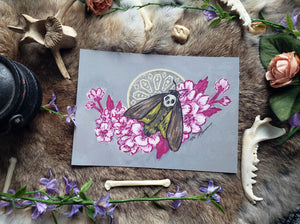 Death's Head Moth Mini Print