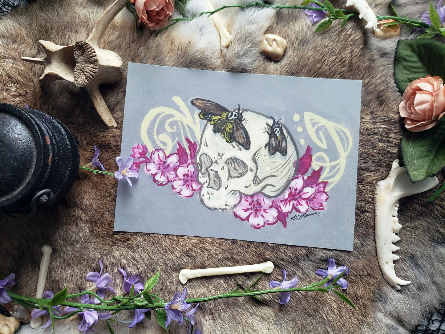 Skull and Death's Head Moth Mini Print